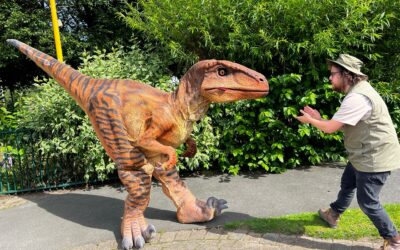 Dinosaur Discovery Weekend | 2nd – 4th August
