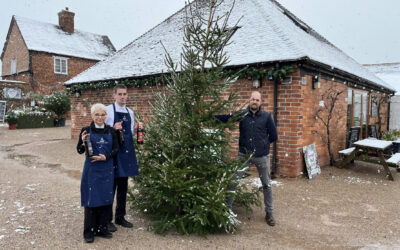 Schools and churches are given Christmas trees for free as local business gets into the festive spirit
