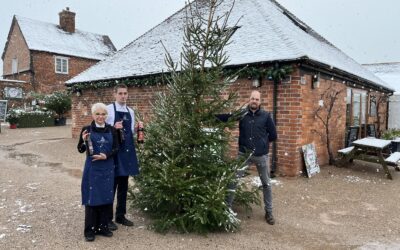 Schools and churches are given Christmas trees for free as local business gets into the festive spirit