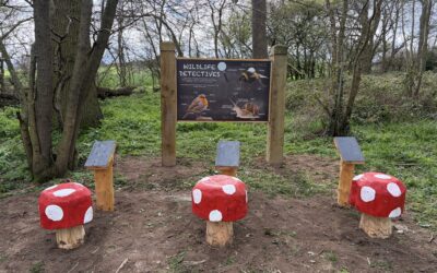 Apley Nature Trail | Open All Year Round