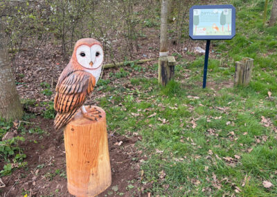 trail barn owl