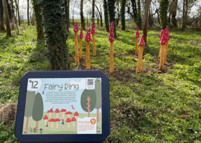 trail fairy ring