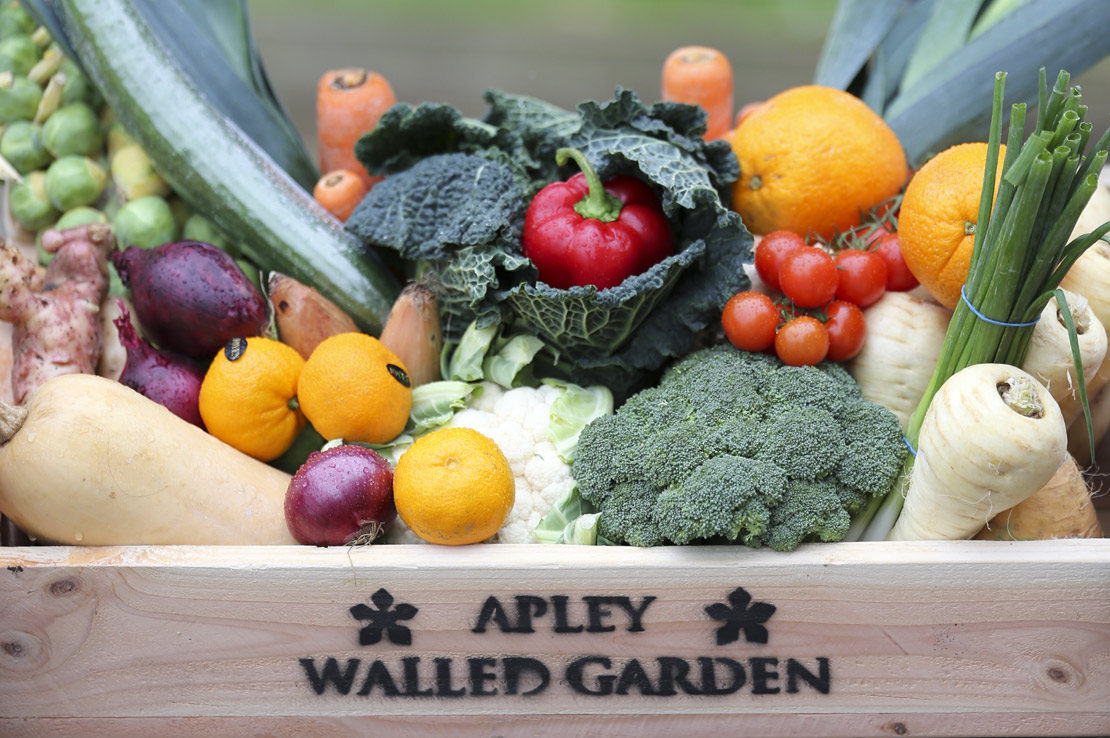 apley veg box
